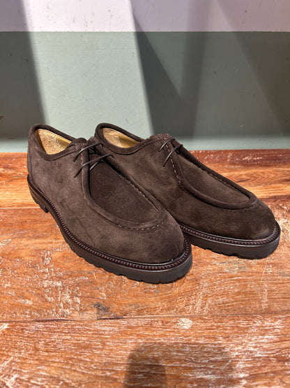 Derby  Crisci per snobs Norvegese allacciata testa di moro