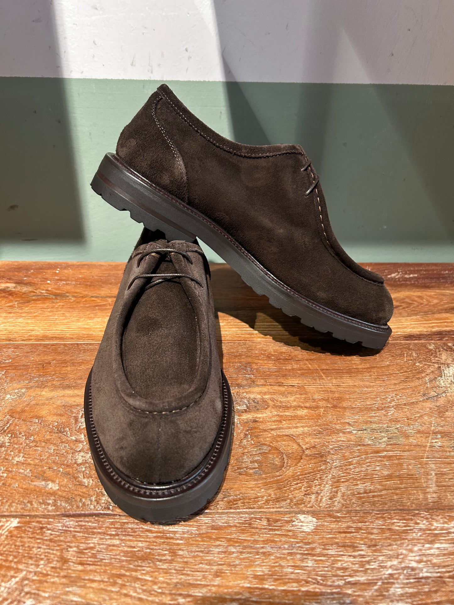 Derby  Crisci per snobs Norvegese allacciata testa di moro