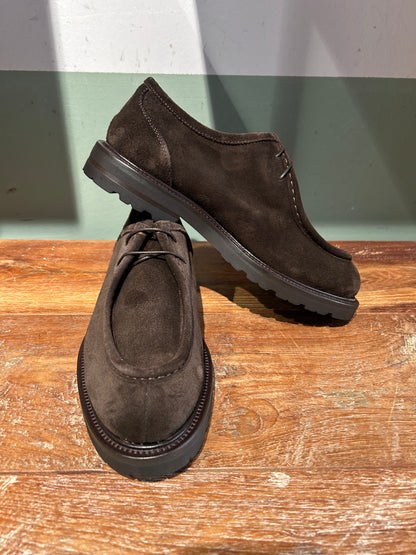 Derby  Crisci per snobs Norvegese allacciata testa di moro